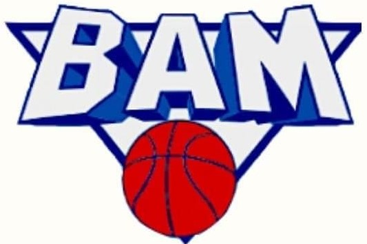 basket abano logo